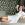 Jaipur Call Girls Service